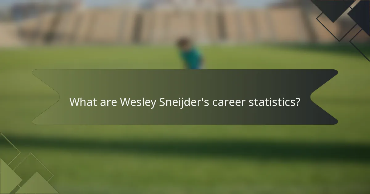 What are Wesley Sneijder's career statistics?