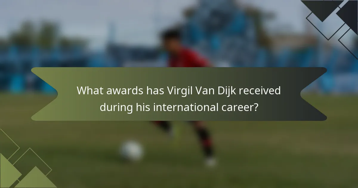 What awards has Virgil Van Dijk received during his international career?